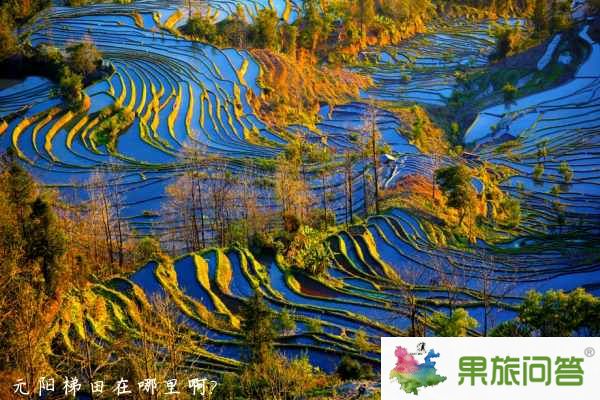 元陽(yáng)梯田風(fēng)景