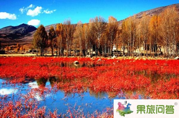 云南十一旅游好去處_香格里拉到稻城亞丁風景線