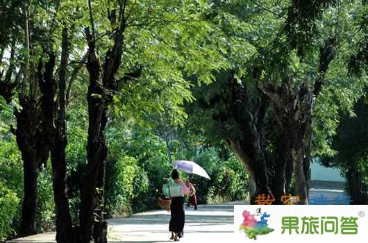 云南旅游自由自在散客游--西雙版納 在從云南歸來的陽光午后—云南游記