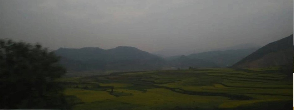 云南羅平油菜花已經(jīng)開了,你還等什么?